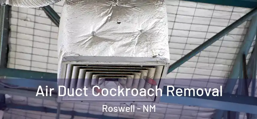Air Duct Cockroach Removal Roswell - NM