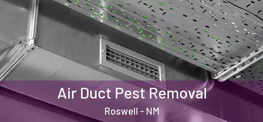 Air Duct Pest Removal Roswell - NM