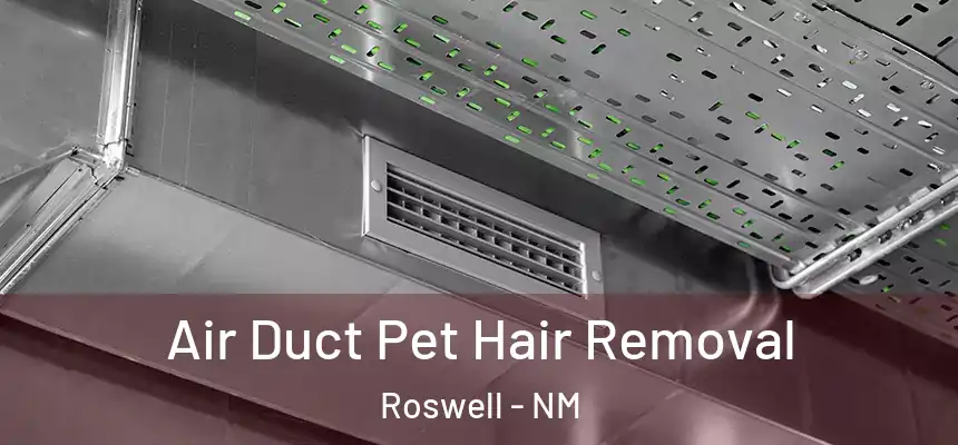 Air Duct Pet Hair Removal Roswell - NM