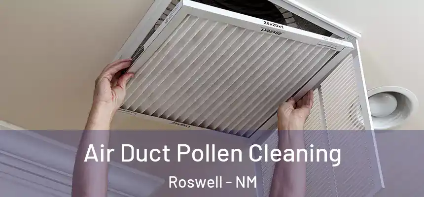 Air Duct Pollen Cleaning Roswell - NM