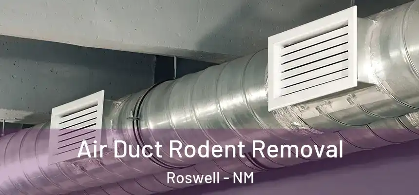Air Duct Rodent Removal Roswell - NM