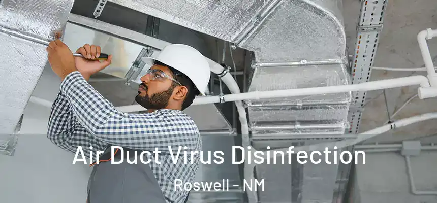  Air Duct Virus Disinfection Roswell - NM