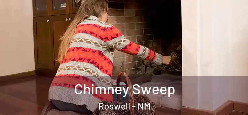 Chimney Sweep Roswell - NM