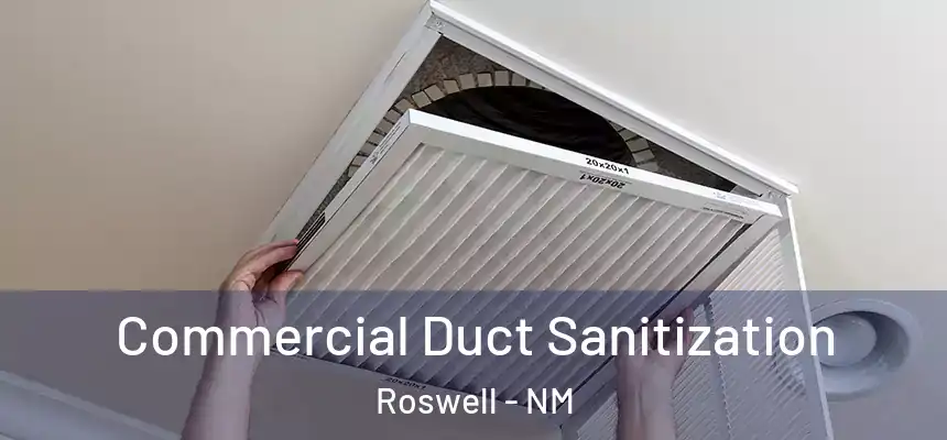 Commercial Duct Sanitization Roswell - NM