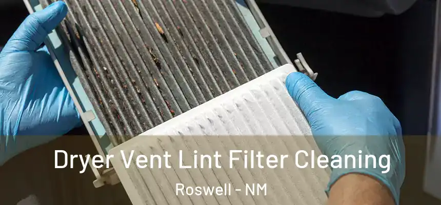  Dryer Vent Lint Filter Cleaning Roswell - NM