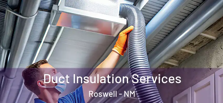 Duct Insulation Services Roswell - NM