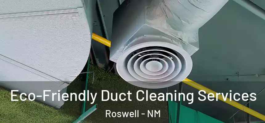 Eco-Friendly Duct Cleaning Services Roswell - NM