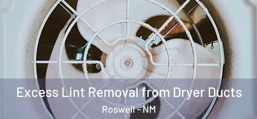 Excess Lint Removal from Dryer Ducts Roswell - NM