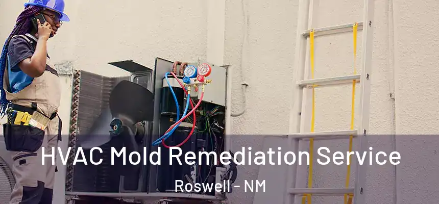  HVAC Mold Remediation Service Roswell - NM