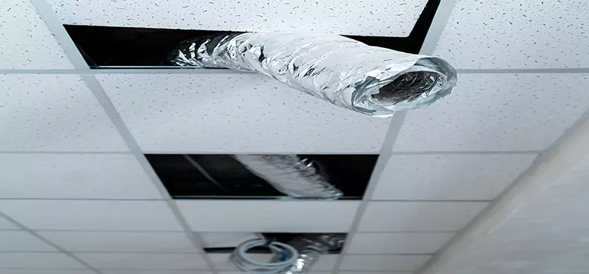 Affordable HVAC Sanitizing After Pest Removal in Roswell