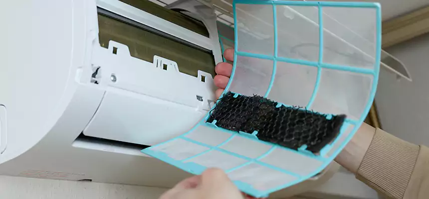 Gentle Ductwork Odor-Control Pet Dander Duct Cleaning in Roswell, NM