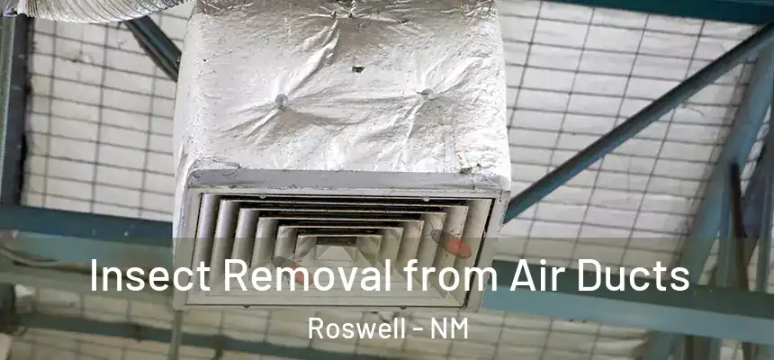  Insect Removal from Air Ducts Roswell - NM