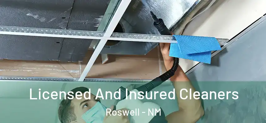 Licensed And Insured Cleaners Roswell - NM