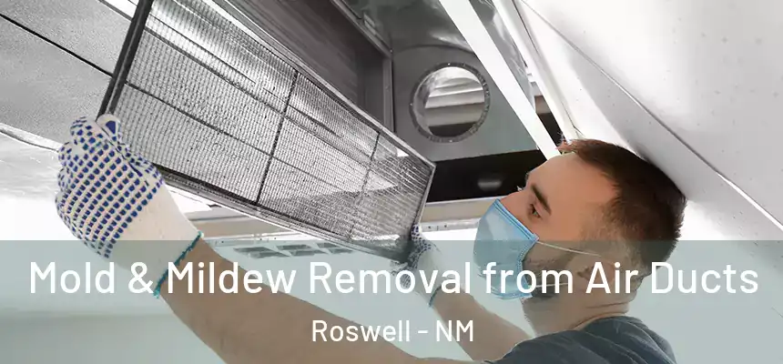 Mold & Mildew Removal from Air Ducts Roswell - NM