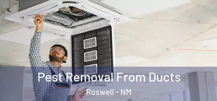 Pest Removal From Ducts Roswell - NM