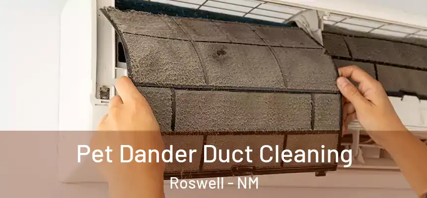 Pet Dander Duct Cleaning Roswell - NM