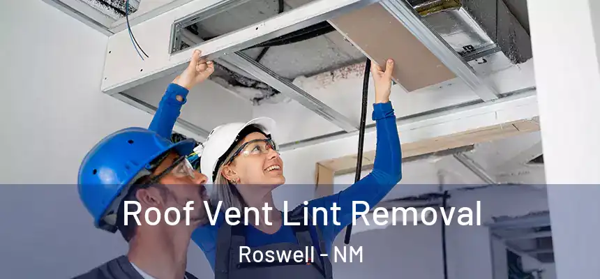  Roof Vent Lint Removal Roswell - NM