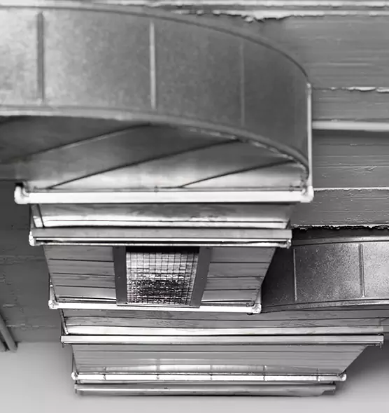 Professional Air Duct Pest Removal in Roswell, NM