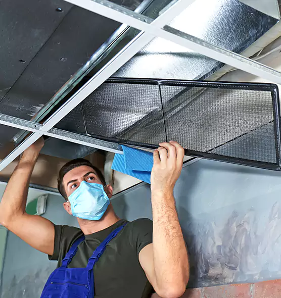 Professional Air Duct Pollen Cleaning in Roswell, NM