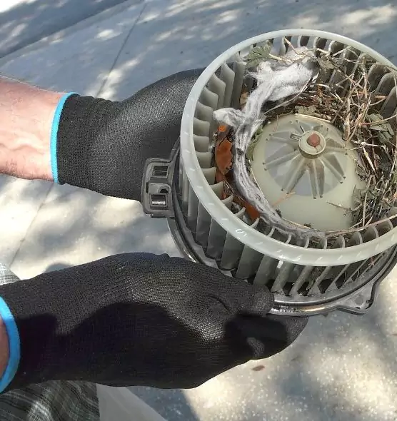 About Air Duct Rat Removal in Roswell, NM