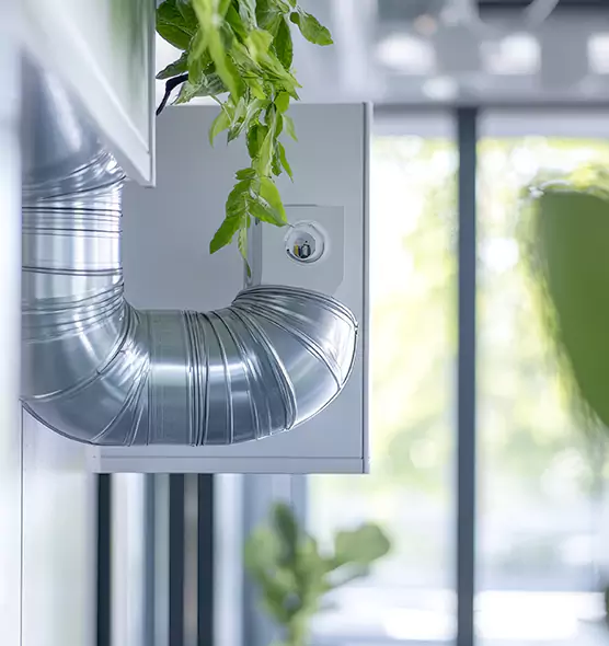 Professional Eco-Friendly Duct Cleaning Services in Roswell, NM