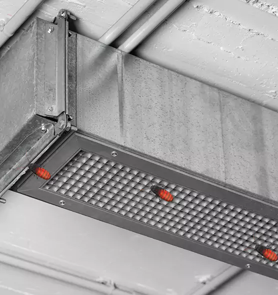 Affordable Insect Removal from Air Ducts in Roswell, NM