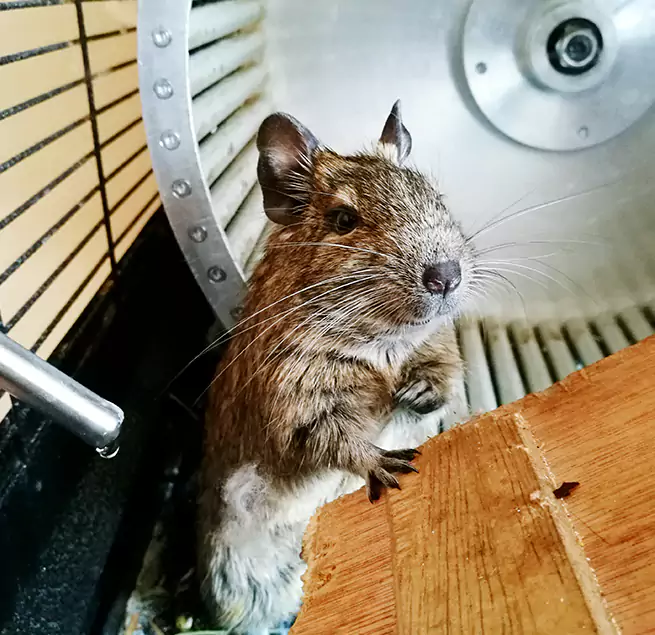 Why Homeowners & Businesses Trust Us Roswell, NM?