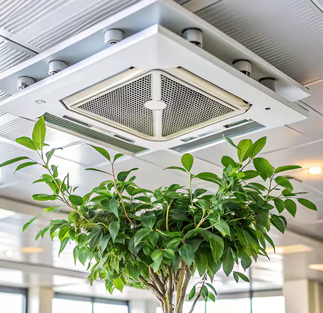 Why Homeowners & Businesses Trust Us in Roswell, NM?